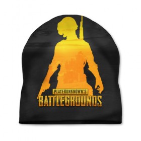 Шапка 3D с принтом PUBG в городе Новоалтайск, 100% полиэстер | универсальный размер, печать по всей поверхности изделия | Тематика изображения на принте: 