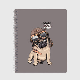 Тетрадь с принтом Brave dog pilot в городе Новоалтайск, 100% бумага | 48 листов, плотность листов — 60 г/м2, плотность картонной обложки — 250 г/м2. Листы скреплены сбоку удобной пружинной спиралью. Уголки страниц и обложки скругленные. Цвет линий — светло-серый
 | animal | beautiful | brave | childish | cute | dog | emblem | helmet | homemade | kid | pilot | pug | белый | детский | домашнее | животное | красивый | лётчик | малыш | милый | мопс | надпись | очки | пилот | рисунок | собака | текст | фон | хр