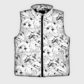 Мужской жилет утепленный 3D с принтом Cats в городе Новоалтайск,  |  | animal | background | baleen | butterfly | cats | cute | drawing | eared | graphics | heads | kittens | striped | tie | view | бабочка | взгляд | галстук | головы | графика | животное | котята | кошки | милые | полосатый | рисунок | усатые | ушастые | фон