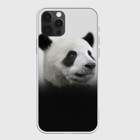 Чехол для iPhone 12 Pro Max с принтом Панда в городе Новоалтайск, Силикон |  | big | арт | крупные арты | крупные принты | сумасшедшие арты