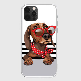 Чехол для iPhone 12 Pro Max с принтом Такса в очках в городе Новоалтайск, Силикон |  | animal | black | breed | dachshund | dog | domestic | drawing | gra | polka | red | shawl | stripes | white | белый | горошек | графика | домашняя | животное | красный | надпись | очки | платок | полосы | порода | рисунок | собака | такса | текс