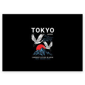 Поздравительная открытка с принтом Tokyo в городе Новоалтайск, 100% бумага | плотность бумаги 280 г/м2, матовая, на обратной стороне линовка и место для марки
 | Тематика изображения на принте: cities | country | japan | large | most | mountains | nagasaki | tokyo | travel | большие | восход | города | горы | графика | журавли | закат | летят | нагасаки | надпись | полет | птицы | путешествия | рисунок | самые | солнце | страна