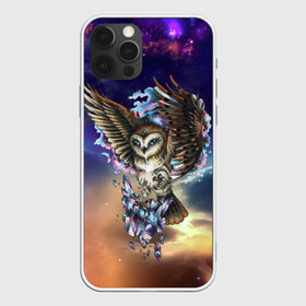 Чехол для iPhone 12 Pro Max с принтом сова в городе Новоалтайск, Силикон |  | owl | галактика | звезды | космос | млечный путь | ночь | птица | сова | филин