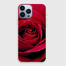 Чехол для iPhone 13 Pro Max с принтом Бутон алой розы в городе Новоалтайск,  |  | Тематика изображения на принте: 8 | day | flower | flowers | international | nature | pud | rose | roses | womens | бутон | день | женский | марта | международный | природа | растение | роза | розы | цветок | цветы