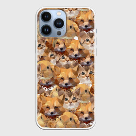 Чехол для iPhone 13 Pro Max с принтом Котята и лисята в городе Новоалтайск,  |  | cats | foxes | kittens | pu | весёлые | взгляд | геометрический | геометрия | голова | графика | дикая | добрые | домашние | животные | иллюстрация | картинка | коллаж | коты | котята | лисы | лисята | мода
