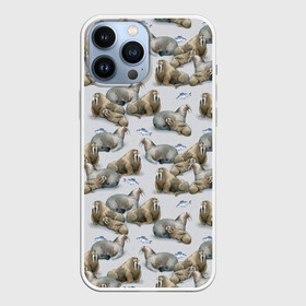 Чехол для iPhone 13 Pro Max с принтом Моржи в городе Новоалтайск,  |  | Тематика изображения на принте: animals | big | f | fangs | fish | fishing | ice | lie | northern | snow | style | walruses | wild | youth | большие | графика | дикие | животные | иллюстрация | картинка | клыки | лёд | лежат | мода | молодежная | моржи | рисунок | рыба | рыбалка
