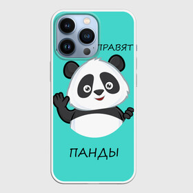 Чехол для iPhone 13 Pro с принтом ПАНДА в городе Новоалтайск,  |  | bear | panda | the world is ruled by pandas | животное | медведь | мир | панда | правят панды | приветы | просто красавчик