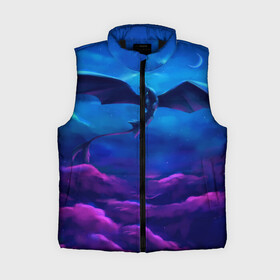 Женский жилет утепленный 3D с принтом Как приручить дракона в городе Новоалтайск,  |  | детский мультфильм | для детей | как приручить дракона | мультик | мультфильм