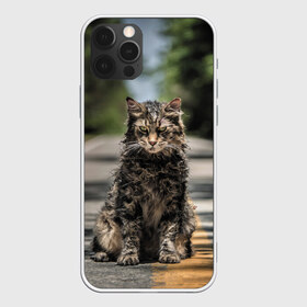 Чехол для iPhone 12 Pro Max с принтом Dead Cat в городе Новоалтайск, Силикон |  | Тематика изображения на принте: louis creed | pet cemetery | pet sematary | stephen king | кладбище домашних животных | луис крид | стивен кинг | ужастик