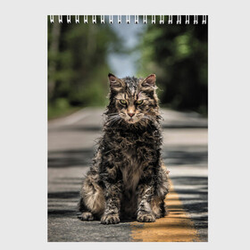 Скетчбук с принтом Dead Cat в городе Новоалтайск, 100% бумага
 | 48 листов, плотность листов — 100 г/м2, плотность картонной обложки — 250 г/м2. Листы скреплены сверху удобной пружинной спиралью | louis creed | pet cemetery | pet sematary | stephen king | кладбище домашних животных | луис крид | стивен кинг | ужастик