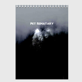 Скетчбук с принтом Pet Sematary в городе Новоалтайск, 100% бумага
 | 48 листов, плотность листов — 100 г/м2, плотность картонной обложки — 250 г/м2. Листы скреплены сверху удобной пружинной спиралью | louis creed | pet cemetery | pet sematary | stephen king | кладбище домашних животных | луис крид | стивен кинг | ужастик