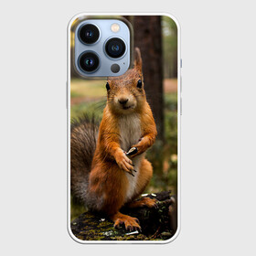 Чехол для iPhone 13 Pro с принтом Белочка в городе Новоалтайск,  |  | Тематика изображения на принте: белка | веселая | весна | глаза | грызун | деревья | зверек | зверь | зеленая | зелень | классная | лес | лето | новинка | осень | пенек | позирует | прикольная | природа | пушистая | рыжая | семечки | фото