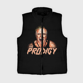 Женский жилет утепленный 3D с принтом The Prodigy в городе Новоалтайск,  |  | prodigy | the | бигбит | брейкбит | дарование | кит флинт | максим реалити | продиджи | синтипанк | техно | чудо