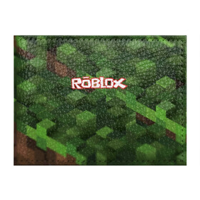 Обложка для студенческого билета с принтом Roblox в городе Новоалтайск, натуральная кожа | Размер: 11*8 см; Печать на всей внешней стороне | Тематика изображения на принте: play | roblox | детская | для детей | игра | онлайн | ребенку | роблокс | роболкс | симулятор