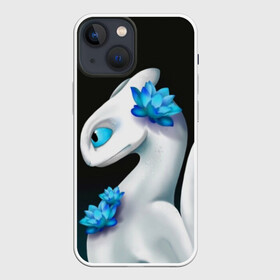 Чехол для iPhone 13 mini с принтом Как приручить дракона в городе Новоалтайск,  |  | cartoon | children | dragon | how to train a dragon | детский мультфильм | детям | для детей | дракон | как приручить дракона | мультик | мультфильм
