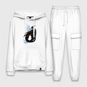 Мужской костюм хлопок с толстовкой с принтом Как приручить дракона в городе Новоалтайск,  |  | cartoon | children | dragon | how to train a dragon | детский мультфильм | детям | для детей | дракон | как приручить дракона | мультик | мультфильм