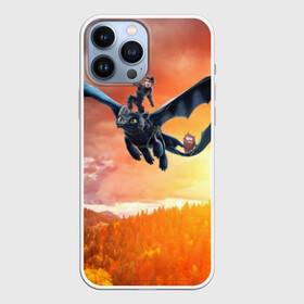 Чехол для iPhone 13 Pro Max с принтом Night Fury в городе Новоалтайск,  |  | Тематика изображения на принте: how to train your dragon | night fury | беззубик | дракон | как приручить дракона | ночная фурия