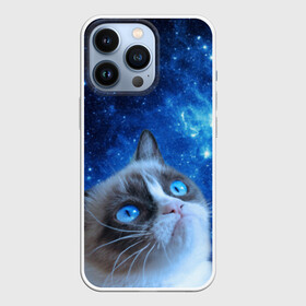 Чехол для iPhone 13 Pro с принтом Сердитый кот в космосе в городе Новоалтайск,  |  | Тематика изображения на принте: grumpy cat | космос | кот | кот в космосе | кот мем | кошка | кошка мем | мем кот | сердитый кот | синий кот