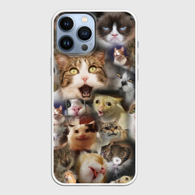 Чехол для iPhone 13 Pro Max с принтом Те самые коты в городе Новоалтайск,  |  | Тематика изображения на принте: грустный кот мем | кот | кот мем | коты | кошка | мем | мем про котов | мемы | мемы с котами