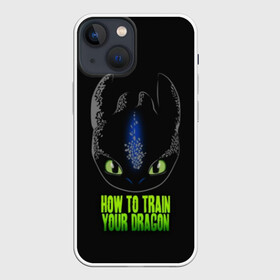 Чехол для iPhone 13 mini с принтом Как приручить дракона в городе Новоалтайск,  |  | cartoon | children | dragon | how to train a dragon | беззубик | детский мультфильм | детям | для детей | дракон | как приручить дракона | мультик | мультфильм