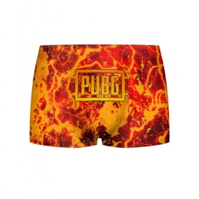 Мужские трусы 3D с принтом PUBG в городе Новоалтайск, 50% хлопок, 50% полиэстер | классическая посадка, на поясе мягкая тканевая резинка | Тематика изображения на принте: 