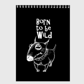 Скетчбук с принтом Born to be wild в городе Новоалтайск, 100% бумага
 | 48 листов, плотность листов — 100 г/м2, плотность картонной обложки — 250 г/м2. Листы скреплены сверху удобной пружинной спиралью | angry | animals | authority | b | black and white | bull terrier | bully | cool | dog | fight | illustration | swag | thug | wild | авторитет | бандит | бойцовый | бультерьер | дикий | животные | злой | иллюстрация | крутой | надпись | ошейник | п
