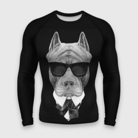 Мужской рашгард 3D с принтом Питбуль в городе Новоалтайск,  |  | animals | black | black and white | cool | dog | fight | gentleman | head | illustration | pitbull | swag | white | авторитет | белая | бойцовый | галстук бабочка | голова | джентльмен | животные | иллюстрация | костюм | крутой | очки | 