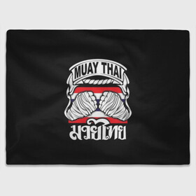 Плед 3D с принтом Muay Thai в городе Новоалтайск, 100% полиэстер | закругленные углы, все края обработаны. Ткань не мнется и не растягивается | fight | muay thai | thai boxing | ufc | бокс | ката | кикбоксин | лаос | лоу кик | муай | мьянма | поединок | таиланд | тай | тайский | таолу