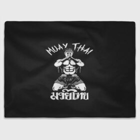 Плед 3D с принтом Muay Thai в городе Новоалтайск, 100% полиэстер | закругленные углы, все края обработаны. Ткань не мнется и не растягивается | fight | muay thai | thai boxing | ufc | бокс | ката | кикбоксин | лаос | лоу кик | муай | мьянма | поединок | таиланд | тай | тайский | таолу
