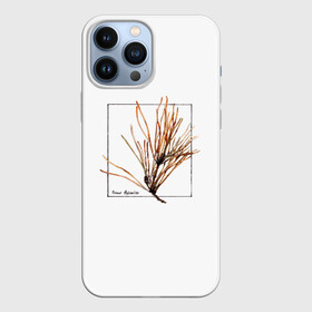Чехол для iPhone 13 Pro Max Pinus Sylvestris: в городе Новоалтайск, | | абстракция | авторская работа | ботаническая иллюстрация | деревья | иллюстрации | минимализм | сосна | цветы