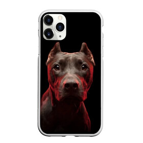 Чехол для iPhone 11 Pro матовый с принтом Стафф в городе Новоалтайск, Силикон |  | амстафф | голова | животные | мордочка | природа | собака | стафф | стаффордширский терьер