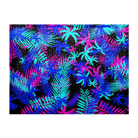 Обложка для студенческого билета с принтом НЕОНОВЫЕ ТРОПИКИ / TROPICAL NEON в городе Новоалтайск, натуральная кожа | Размер: 11*8 см; Печать на всей внешней стороне | Тематика изображения на принте: hotline miami | neon | new retro wave | outrun | outrun electro | paints | palmen | rainbow | retro | retrowave | summer | synth | synthwave | tropical | брызги | брызги красок | звёзды | космос | краски | лето | неон | пальмы | радуга | 