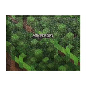 Обложка для студенческого билета с принтом MINECRAFT в городе Новоалтайск, натуральная кожа | Размер: 11*8 см; Печать на всей внешней стороне | blade | blocks | creeper | cubes | game | ken | mine craft | minecraft | mobs | sword | игры | крипер | майн крафт | майнкрафт | моб