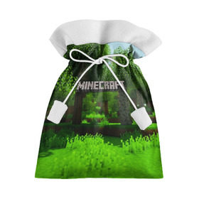 Подарочный 3D мешок с принтом MINECRAFT в городе Новоалтайск, 100% полиэстер | Размер: 29*39 см | Тематика изображения на принте: blade | blocks | creeper | cubes | game | ken | mine craft | minecraft | mobs | sword | игры | крипер | майн крафт | майнкрафт | моб