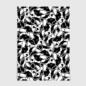 Постер с принтом Забавные собаки в городе Новоалтайск, 100% бумага
 | бумага, плотность 150 мг. Матовая, но за счет высокого коэффициента гладкости имеет небольшой блеск и дает на свету блики, но в отличии от глянцевой бумаги не покрыта лаком | attractive face | black | breed | cute | cutie | dog | french bulldog | friend | funny | look | puppy | white | белый | взгляд | друг | милашка | милый | пес | порода | прикольный | псина | собака | собакен | французский бульдог | черный | щено