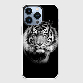 Чехол для iPhone 13 Pro с принтом Тигр в городе Новоалтайск,  |  | Тематика изображения на принте: animal | beautiful | black | cool | fangs | fauna | mustache | muzzle | nature | photo | predator | striped | tiger | view | white | wild | wool | белый | взгляд | дикий | животное | клыки | красивый | круто | полосатый | природа | тигр | усы | фа