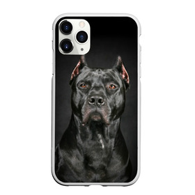 Чехол для iPhone 11 Pro матовый с принтом Питбуль в городе Новоалтайск, Силикон |  | Тематика изображения на принте: animal | black | breed | bull | combat | dog | ears | eyes | image | muzzle | nose | pit bull | portrait | боевой | бугай | глаза | животное | изображение | нос | пес | питбуль | порода | портрет | псина | собака | уши | черный