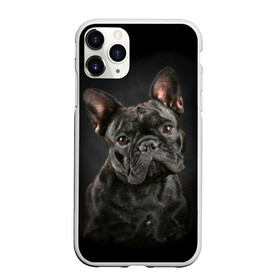 Чехол для iPhone 11 Pro матовый с принтом Французский бульдог в городе Новоалтайск, Силикон |  | Тематика изображения на принте: animal | background | beast | black | breed | bulldog | cool | cute | dog | ears | french | jaw | look | muzzle | portrait | wool | бульдог | взгляд | животное | зверь | милый | пёс | порода | портрет | прикольно | псина | собака | уши | фон | фра