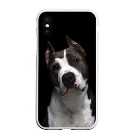 Чехол для iPhone XS Max матовый с принтом Американский питбуль в городе Новоалтайск, Силикон | Область печати: задняя сторона чехла, без боковых панелей | animal | black | breed | bull | dog | ears | eyes | fight | fighting | image | muzzle | nose | pit bull | portrait | terrier | white | белый | боевой | бойцовая | бугай | глаза | животное | изображение | нос | пес | питбуль | порода | портрет | пс