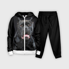 Детский костюм 3D с принтом Черный кан   корсо в городе Новоалтайск,  |  | animal | background | beast | black | breed | can   corso | cool | cute | dog | ears | fangs | jaw | look | muzzle | portrait | tongue | wool | взгляд | животное | зверь | кан   корсо | клыки | милый | пёс | порода | портрет | прикольно | псина | 