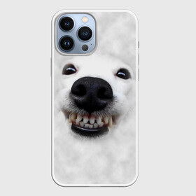 Чехол для iPhone 13 Pro Max с принтом Собака   улыбака в городе Новоалтайск,  |  | Тематика изображения на принте: животные | зубы | мордочка | пес | прикол | смешная | собака | улыбака | улыбка | щенок | юмор