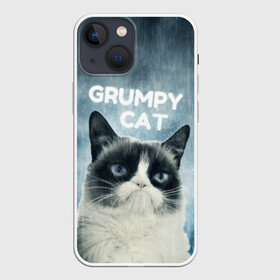 Чехол для iPhone 13 mini с принтом Grumpy Cat в городе Новоалтайск,  |  | Тематика изображения на принте: кот | котики | коты | мем | мемы | сердитый кот