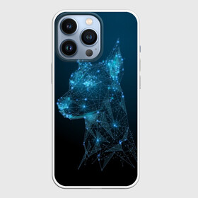 Чехол для iPhone 13 Pro с принтом Доберман в городе Новоалтайск,  |  | Тематика изображения на принте: animal | blue | breed | doberman | dog | geometric | pattern | service | space | stars | геометрический | доберман | животное | звёзды | космос | порода | рисунок | синий | служебный | собака