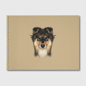 Альбом для рисования с принтом Sheltie в городе Новоалтайск, 100% бумага
 | матовая бумага, плотность 200 мг. | animal | black | breed | brown | cute | dog | drawing | eyes | kind | look | muzzle | portrait | red | взгляд | глаза | добрый | животное | коричневый | милый | пёс | порода | портрет | рисунок | рыжий | собака | черный | шелти
