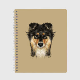 Тетрадь с принтом Sheltie в городе Новоалтайск, 100% бумага | 48 листов, плотность листов — 60 г/м2, плотность картонной обложки — 250 г/м2. Листы скреплены сбоку удобной пружинной спиралью. Уголки страниц и обложки скругленные. Цвет линий — светло-серый
 | animal | black | breed | brown | cute | dog | drawing | eyes | kind | look | muzzle | portrait | red | взгляд | глаза | добрый | животное | коричневый | милый | пёс | порода | портрет | рисунок | рыжий | собака | черный | шелти