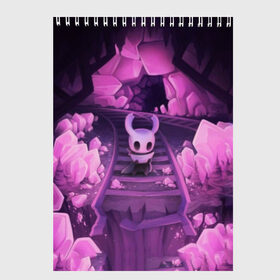 Скетчбук с принтом Hollow Knight в городе Новоалтайск, 100% бумага
 | 48 листов, плотность листов — 100 г/м2, плотность картонной обложки — 250 г/м2. Листы скреплены сверху удобной пружинной спиралью | Тематика изображения на принте: hollow knight | детская | для детей | игра | компьютерная игра | королевство | рыцарь | темный рыцарь | холлов кнайт | экшен
