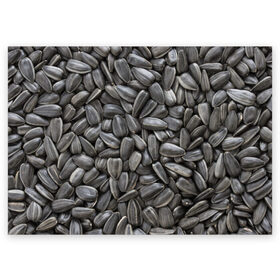 Поздравительная открытка с принтом Семечки в городе Новоалтайск, 100% бумага | плотность бумаги 280 г/м2, матовая, на обратной стороне линовка и место для марки
 | Тематика изображения на принте: прикольные | семечки | семки