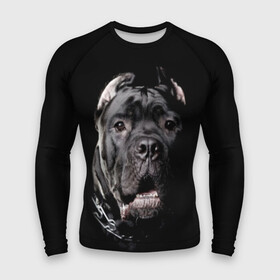 Мужской рашгард 3D с принтом Мастиф в городе Новоалтайск,  |  | animal | black | collar | dog | friend | look | man | muzzle | взгляд | друг | животное | мастиф | ошейник | пёс | собака | человека | черный