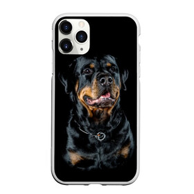 Чехол для iPhone 11 Pro Max матовый с принтом Ротвейлер в городе Новоалтайск, Силикон |  | animal | black | breed | collar | dog | friend | glance | gloss | man | muzzle | rottweiler | взгляд | друг | животное | лоск | ошейник | пёс | порода | ротвейлер | собака | человека | черный
