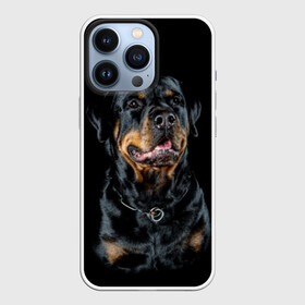 Чехол для iPhone 13 Pro с принтом Ротвейлер в городе Новоалтайск,  |  | Тематика изображения на принте: animal | black | breed | collar | dog | friend | glance | gloss | man | muzzle | rottweiler | взгляд | друг | животное | лоск | ошейник | пёс | порода | ротвейлер | собака | человека | черный